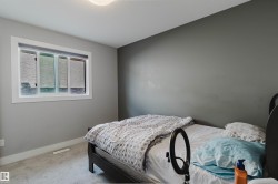 Neutral gray walls with white trim, complemented by light-colored carpeting - 