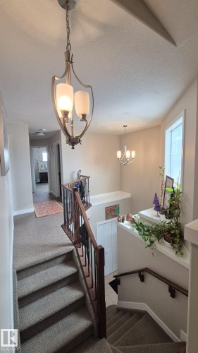 2044 33B Street Nw, Edmonton, AB - Indoor Photo Showing Other Room