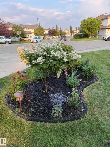 1358 118A Street, Edmonton, AB - Outdoor With View