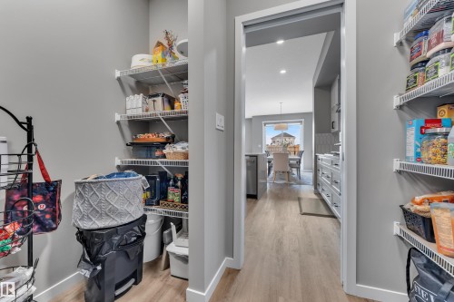Pantry area featuring wire shelving, hardwood style flooring, and light gray walls - 21853 98A Avenue, Edmonton, AB - Indoor
