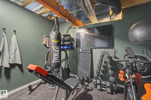 385 Orchards Boulevard, Edmonton, AB - Indoor Photo Showing Basement