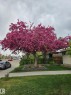 8603 149 Street, Edmonton, AB  - Outdoor 