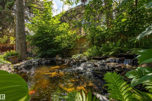 Water feature with a rock waterfall and surrounding foliage - 9010 120 Street, Edmonton, AB - Outdoor