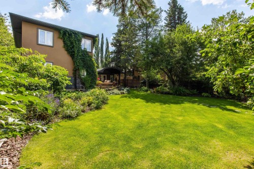 Expansive green lawn surrounded by mature trees and shrubs - 9010 120 Street, Edmonton, AB - Outdoor