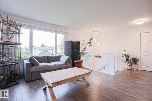9828 169 Street, Edmonton, AB - Indoor Photo Showing Living Room