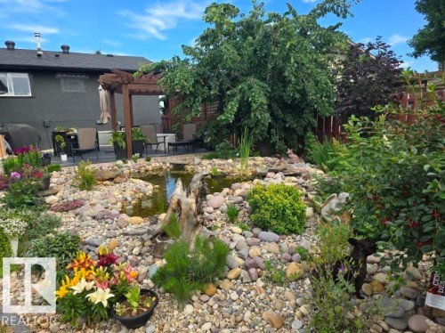 9828 169 Street, Edmonton, AB - Outdoor