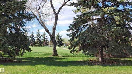 9828 169 Street, Edmonton, AB - Outdoor With View