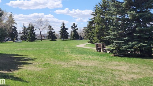 9828 169 Street, Edmonton, AB - Outdoor With View