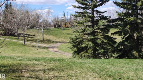 9828 169 Street, Edmonton, AB - Outdoor With View