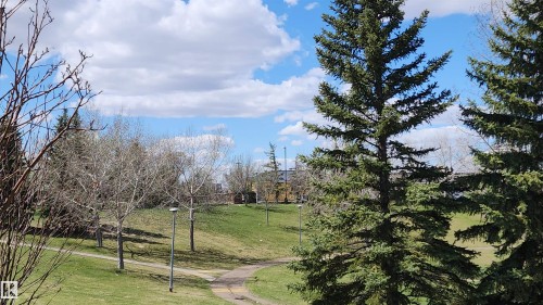 9828 169 Street, Edmonton, AB - Outdoor With View