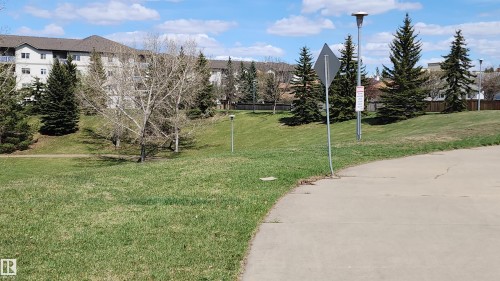 9828 169 Street, Edmonton, AB - Outdoor With View