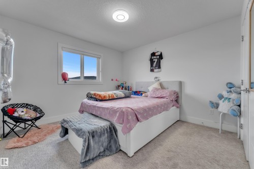 Neutral wall paint with carpet flooring - 1827 22 Street Nw, Edmonton, AB - Indoor Photo Showing Bedroom