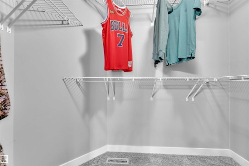 The property features a closet with wire shelving and hanging rods, complemented by gray walls and a carpeted floor - 8108 217 Street, Edmonton, AB - Indoor With Storage