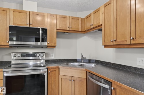 212 5340 199 Street, Edmonton, AB - Indoor Photo Showing Kitchen With Double Sink