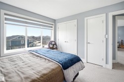 Expansive window with roller shades - 