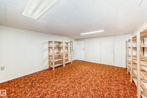 Versatile bonus room featuring expansive carpeting, drop ceiling with flush-mount lighting, and built-in shelving - 14123 96 Street, Edmonton, AB 