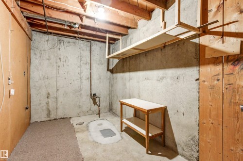 9025 152 Street, Edmonton, AB - Indoor Photo Showing Basement