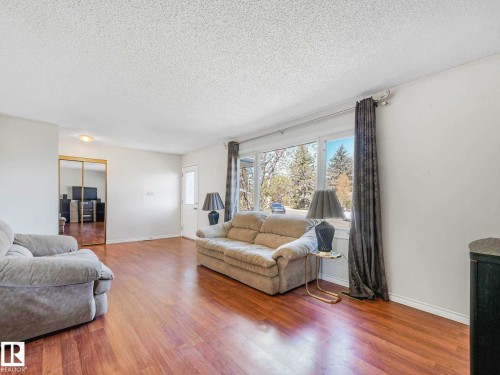 17603 84 Avenue Nw, Edmonton, AB - Indoor Photo Showing Living Room