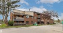 Multi-story brick exterior featuring balconies and mature landscaping - 217 14819 51 Avenue, Edmonton, AB  - Outdoor With Balcony With Facade 