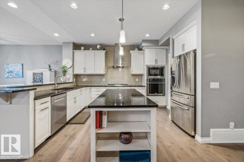 22933 94A Avenue, Edmonton, AB - Indoor Photo Showing Kitchen With Upgraded Kitchen