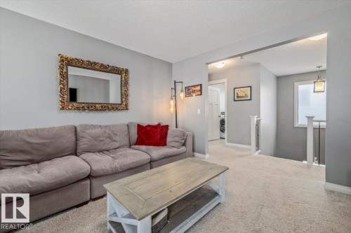 22933 94A Avenue, Edmonton, AB - Indoor Photo Showing Living Room