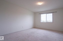 Carpeted room with a double window featuring white trim and a dark-toned curtain rod - 