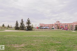 Expansive green space with walking paths and mature evergreen trees - 