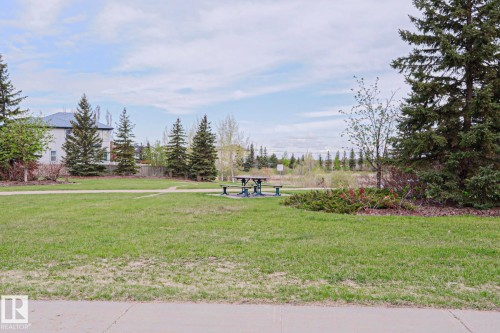 Community green space featuring a concrete pathway, mature evergreen trees, and a picnic table - 1627 Melrose Place Sw, Edmonton, AB - Outdoor With View
