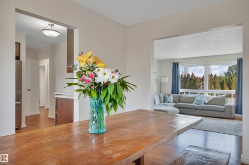 14104 79 Street, Edmonton, AB - Indoor Photo Showing Living Room
