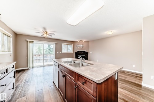 16737 60St, Edmonton, AB - Indoor Photo Showing Kitchen With Double Sink