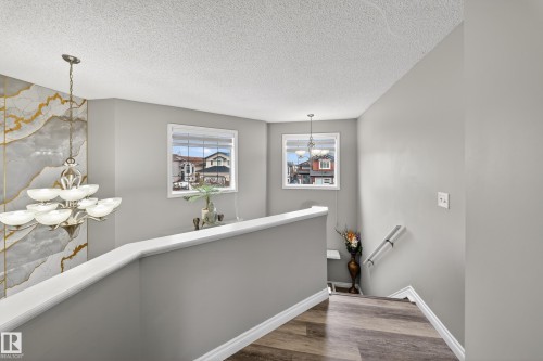 Well-lit interior space featuring two windows, a light fixture with multiple bowls, and light-toned walls - 3517 25 Street, Edmonton, AB - Indoor Photo Showing Other Room