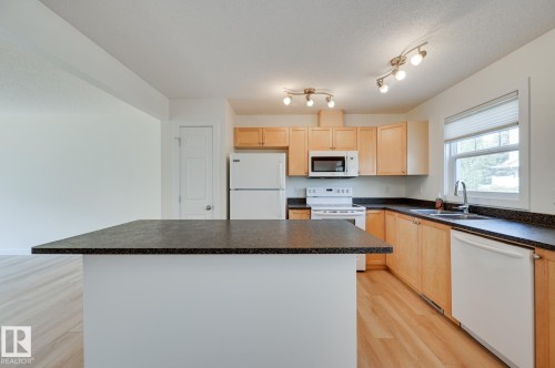 38 6032 38 Avenue, Edmonton, AB - Indoor Photo Showing Kitchen With Double Sink