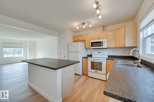 38 6032 38 Avenue, Edmonton, AB - Indoor Photo Showing Kitchen With Double Sink