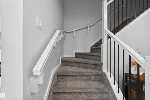 Curved staircase featuring gray carpeted treads and risers - 332 Juniper Cove, Leduc, AB - Indoor Photo Showing Other Room