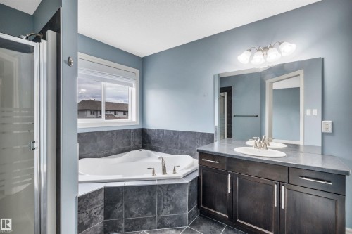 2429 Austin Crescent, Edmonton, AB - Indoor Photo Showing Bathroom