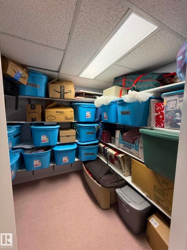 Utility room featuring a drop ceiling with recessed fluorescent lighting, light-colored carpeting, and extensive built-in shelving - 2812 35 Street, Edmonton, AB - Indoor