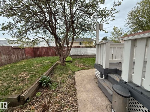 Backyard space featuring a mature deciduous tree, a wooden fence, and a concrete patio section - 2812 35 Street, Edmonton, AB - Outdoor