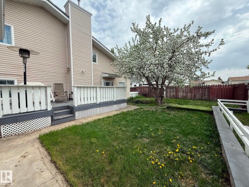 Rear exterior with a flowering tree and a wooden deck - 2812 35 Street, Edmonton, AB - Outdoor With Deck Patio Veranda