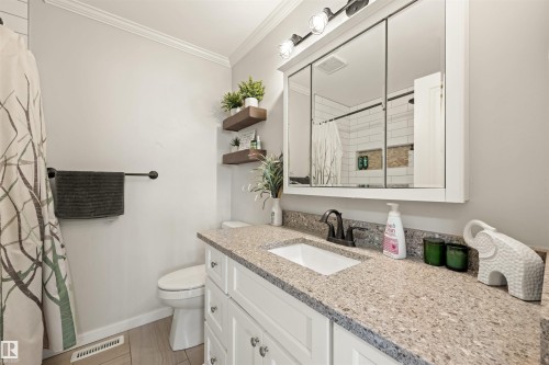 4012 86 Street, Edmonton, AB - Indoor Photo Showing Bathroom