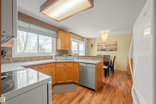 4012 86 Street, Edmonton, AB - Indoor Photo Showing Kitchen With Double Sink