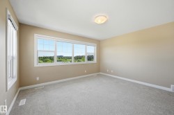 Spacious room featuring multiple large windows, neutral-toned walls, and light-colored carpeting - 