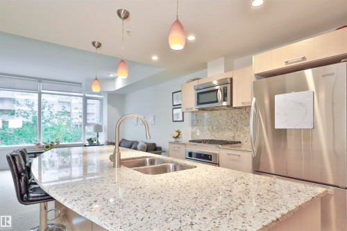 203 2606 109 Street, Edmonton, AB - Indoor Photo Showing Kitchen With Double Sink With Upgraded Kitchen