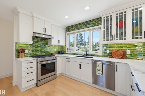 14631 88 Avenue, Edmonton, AB - Indoor Photo Showing Kitchen