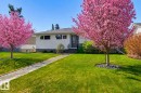 14631 88 Avenue, Edmonton, AB  - Outdoor 