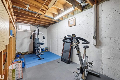 14631 88 Avenue, Edmonton, AB - Indoor Photo Showing Gym Room