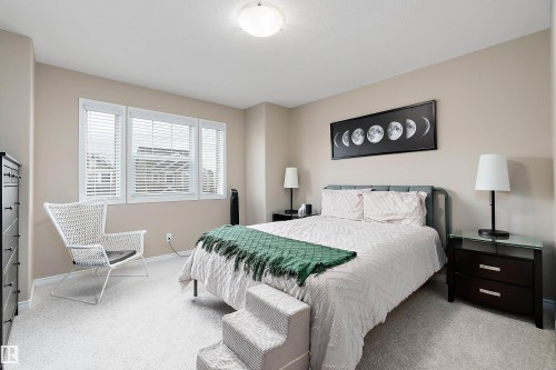Neutral wall tones complement the light-colored carpeting - 2007 74 Street, Edmonton, AB - Indoor Photo Showing Bedroom