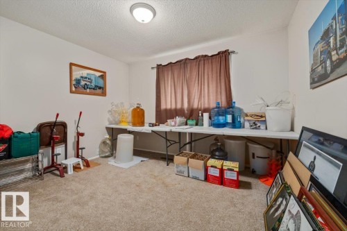 4411 209 Street, Edmonton, AB - Indoor Photo Showing Other Room