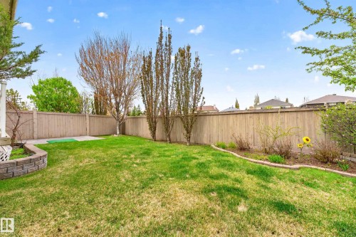 1354 118A Street, Edmonton, AB - Outdoor With Backyard
