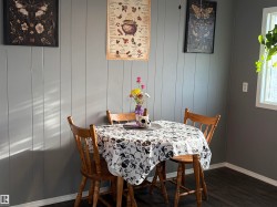 Vertical paneling accent wall, dark wood-finish flooring, white trim, and a window with white casing - 