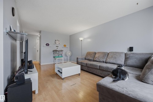 3 18315 89 Avenue, Edmonton, AB - Indoor Photo Showing Living Room